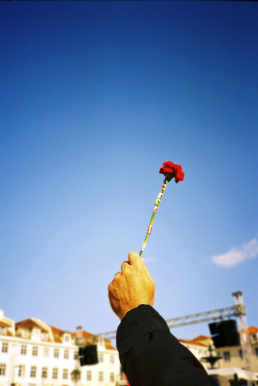 autor: José Gonçalves