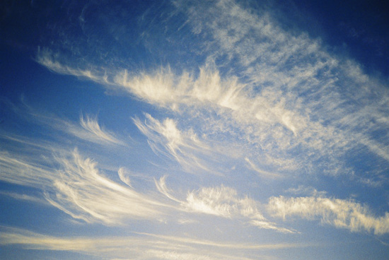 autor: José Gonçalves