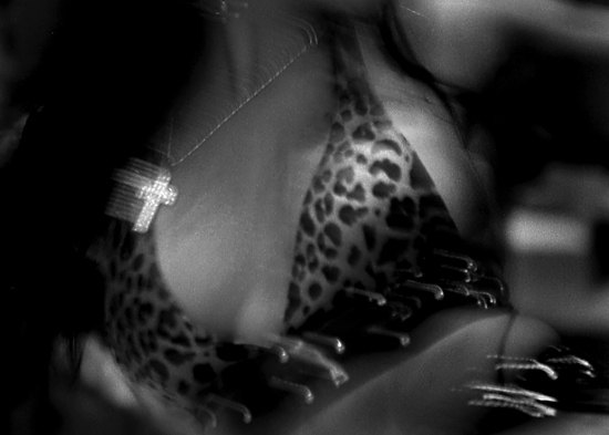 author: Manuel Luís Cochofel