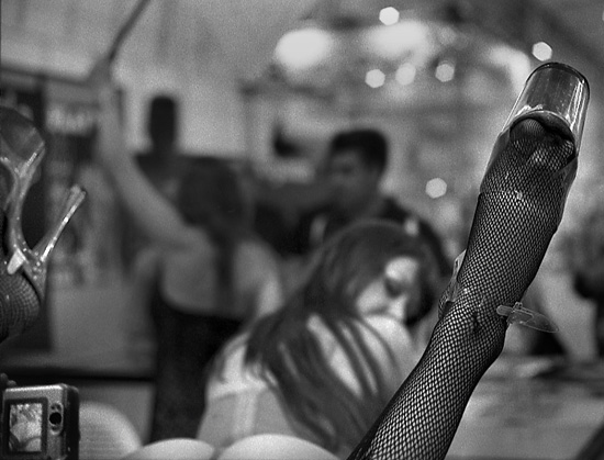 auteur : Manuel Luís Cochofel                    