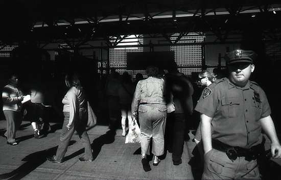 autor: Manuel Luís Cochofel