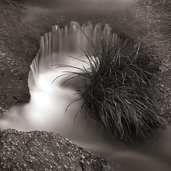 autor: Carlos Matos
t&iacute;tulo: Rio-Ocreza-05_IX