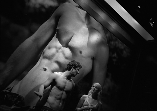 autor: Manuel Luís Cochofel