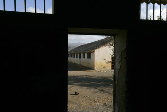 autor : Luis Filipe Catarino                    