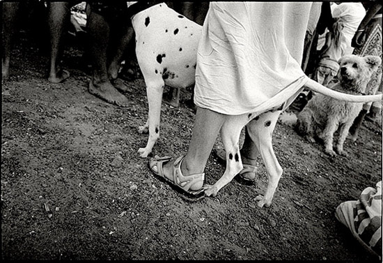 autor: Stefan Rohner
t&iacute;tulo: Ibiza