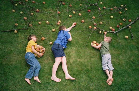 autor: Jan Von Holleben
t&iacute;tulo: The Apple Raiders