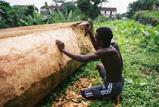 autor: Tânia Araújo