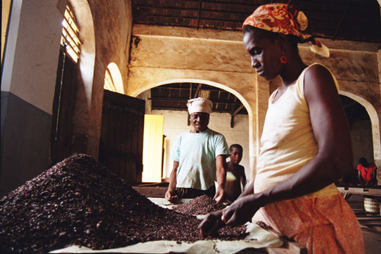 autor: Tânia Araújo