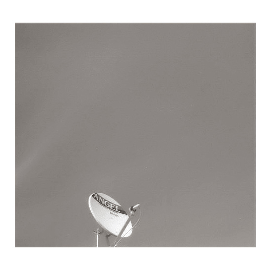 auteur : Fernando Gabriel                    