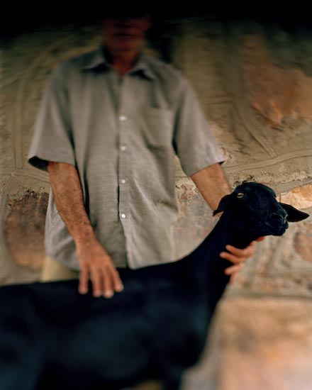 autor: Cláudio Edinger