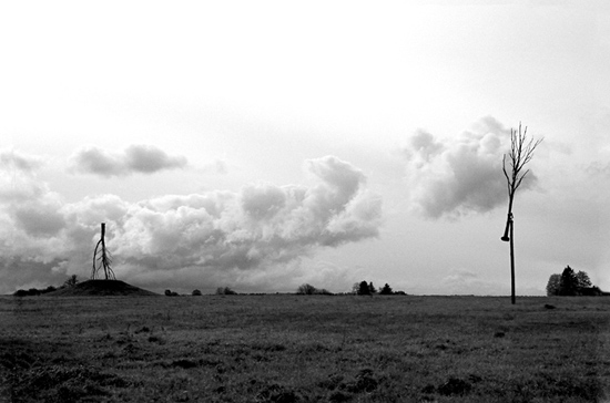 autor: Natasha Gudermane