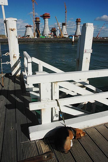 autor: Yves Rousselet
t&iacute;tulo: Un spectateur indifférent à la construction des éoliennes