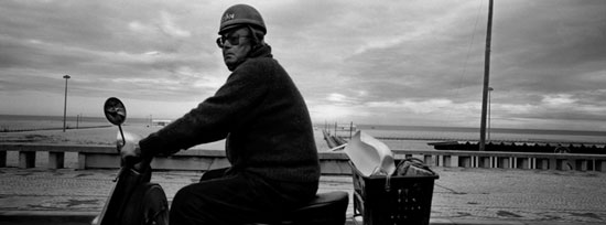 autor: Luísa Ferreira