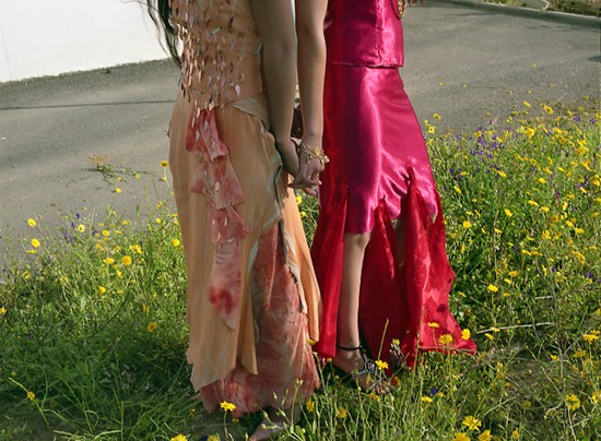 autor: Rui Dias Monteiro