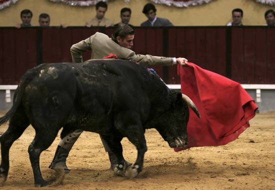 autor: Sofia Quintas