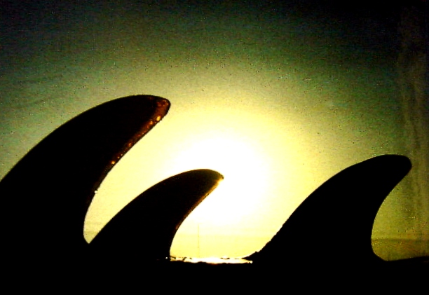 autor: João Varela
t&iacute;tulo: Sem título