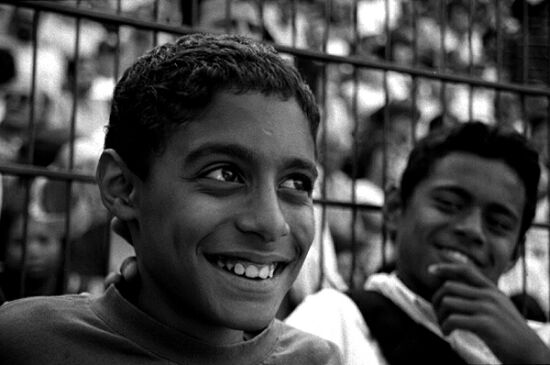 auteur: Sofia Quintas