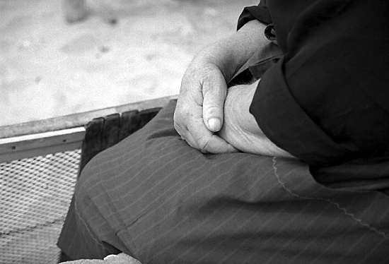 auteur: Sofia Quintas