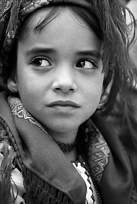 autor: Sofia Quintas