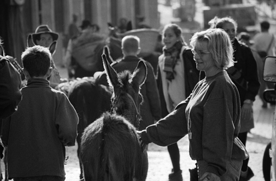 autor: paulo rodrigues