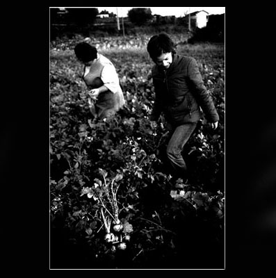 autor: Raquel Moura
t&iacute;tulo: untitled