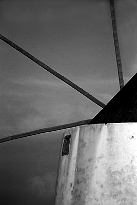 autor: Sofia Quintas