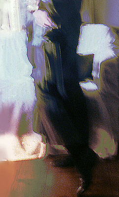 auteur : Ana Ribeiro dos Santos                    