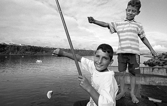 autor: Alberto Monteiro
t&iacute;tulo: sem título