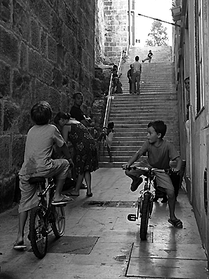 autor: Sofia Quintas