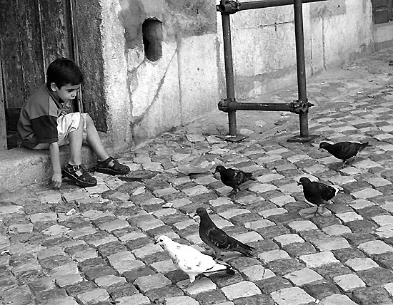 autor: Sofia Quintas