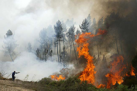 autor: João  Carvalho Pina