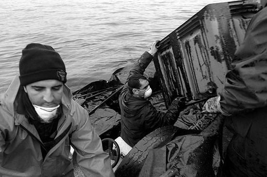 autor: João  Carvalho Pina