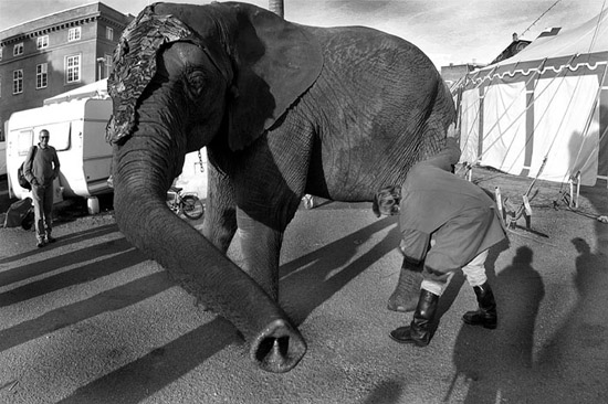 autor: Daniel Navarro