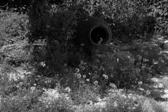 autor: paulo rodrigues