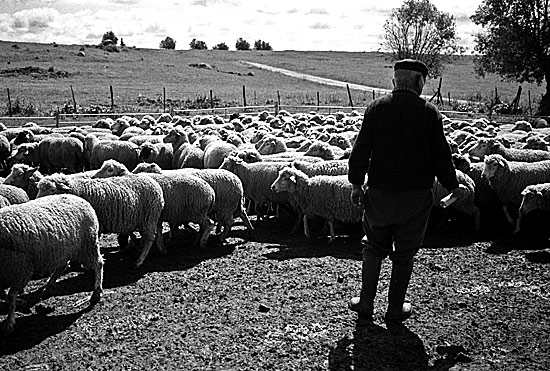 auteur: Sofia Quintas