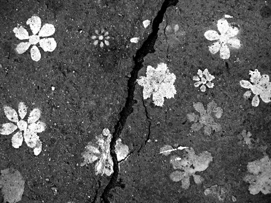 autor: Alain-Gilles Bastide
t&iacute;tulo: La faille