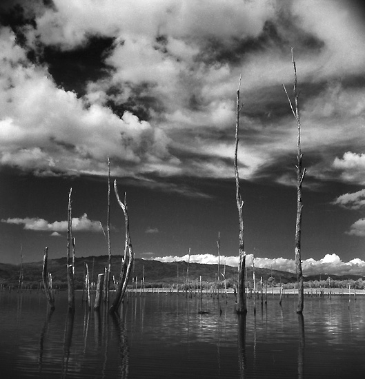 autor: Manuel Luís Cochofel