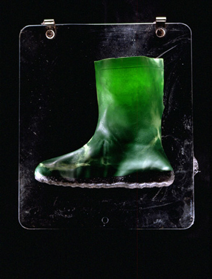 autor: Jeremy Webb
t&iacute;tulo: green garden boot