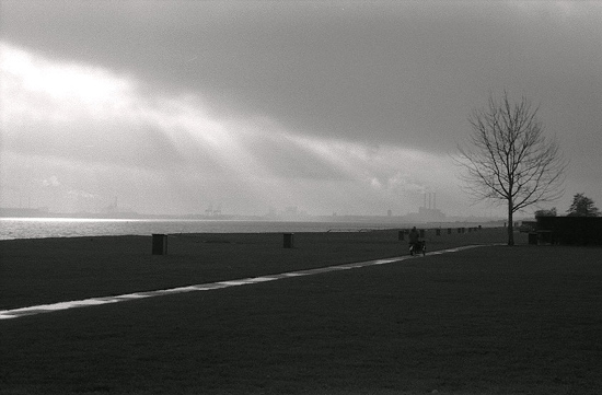 autor: Daniel Navarro