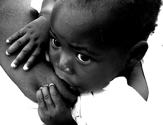 autor: José Silva Pinto
t&iacute;tulo: Amamentar...