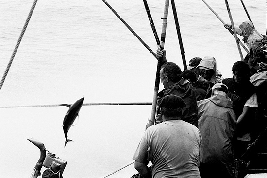 autor: Txomin  Txueka