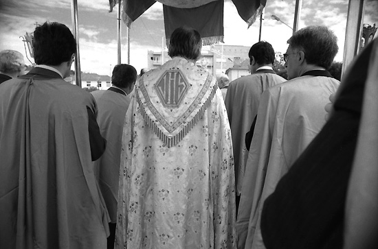 autor: Manuel Luís Cochofel