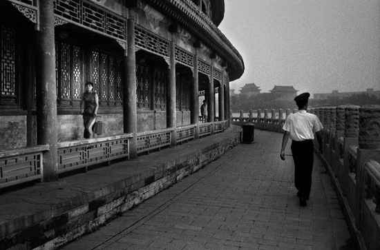 autor: Pedro Guimarães