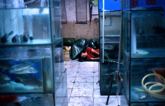 autor: Pedro Guimarães