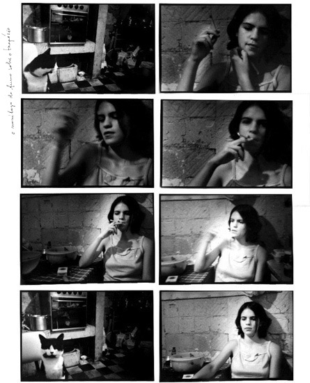 autor : Raquel Moura                    