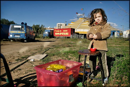 author: Joost De Raeymaeker