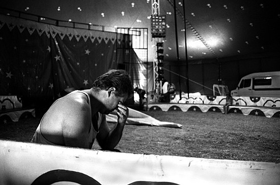 author : Sofia Quintas                    