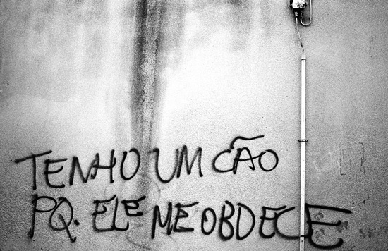 autor: Sofia Quintas