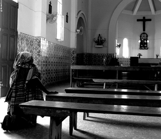 autor: José Silva Pinto
t&iacute;tulo: Último Refúgio