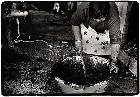 autor: Stefan Rohner
t&iacute;tulo: 4